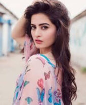 Hiba +971563133746